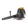Image of item 