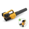 Image of item 