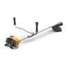 Image of item 