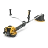 Image of item 